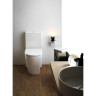 Бачок LAUFEN KARTELL 2933.3.000.873.1