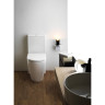 Унитаз напольный LAUFEN KARTELL 660 x 370 x 440 mm, для монтажа с бачком