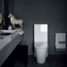 Унитаз напольный LAUFEN KARTELL (без бачка) безободковый