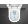 Унитаз подвесной LAUFEN RIMLESS 6.2096.6.896.000.1 СЕТ PRO 8.2096.6.000.000.1 + крышка-сиденье soft-close 8.9896.6.000.000.1